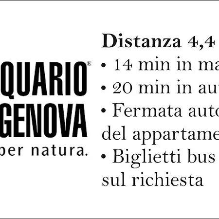 Apartment Fiumara Vicino Rds Stadium *